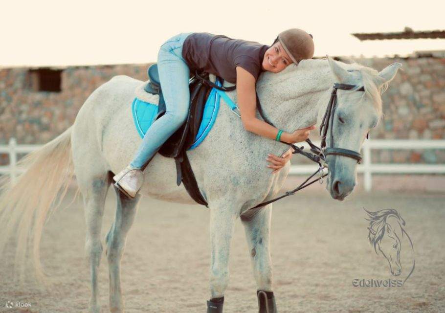 Sharm El Sheikh: Berkuda di Sepanjang Pantai dengan Transportasi