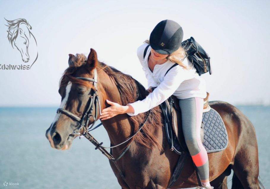 Sharm El Sheikh: Paseo a Caballo por la Costa con Traslados