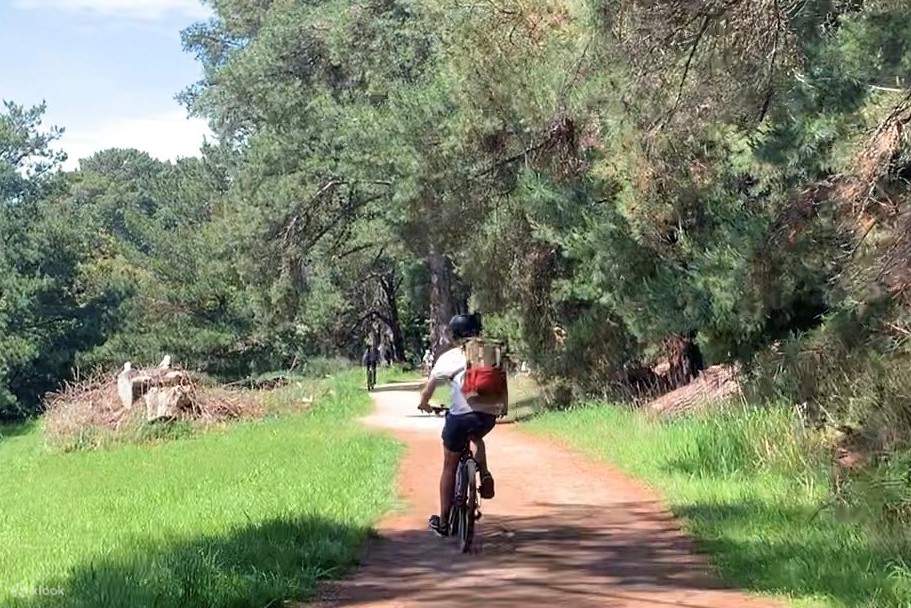 Red hill hotsell mtb park