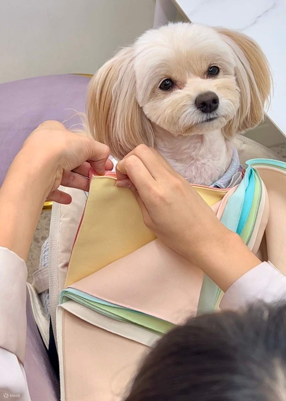 首爾色彩諮詢聖水店