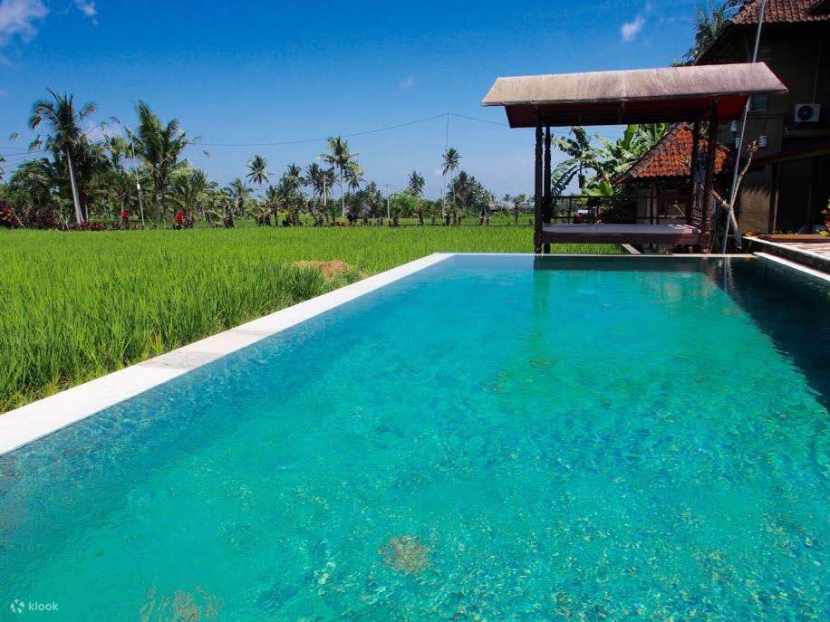 piscine du refuge Firefly