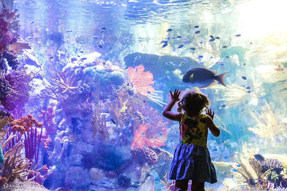 Bambina che guarda i pesci nell'acquario