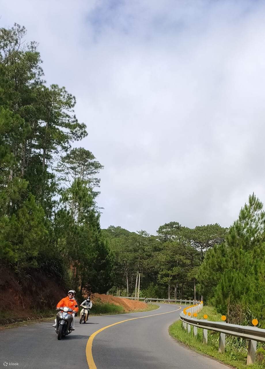Specialty Arabica Coffee Farm Harvest Klook India
