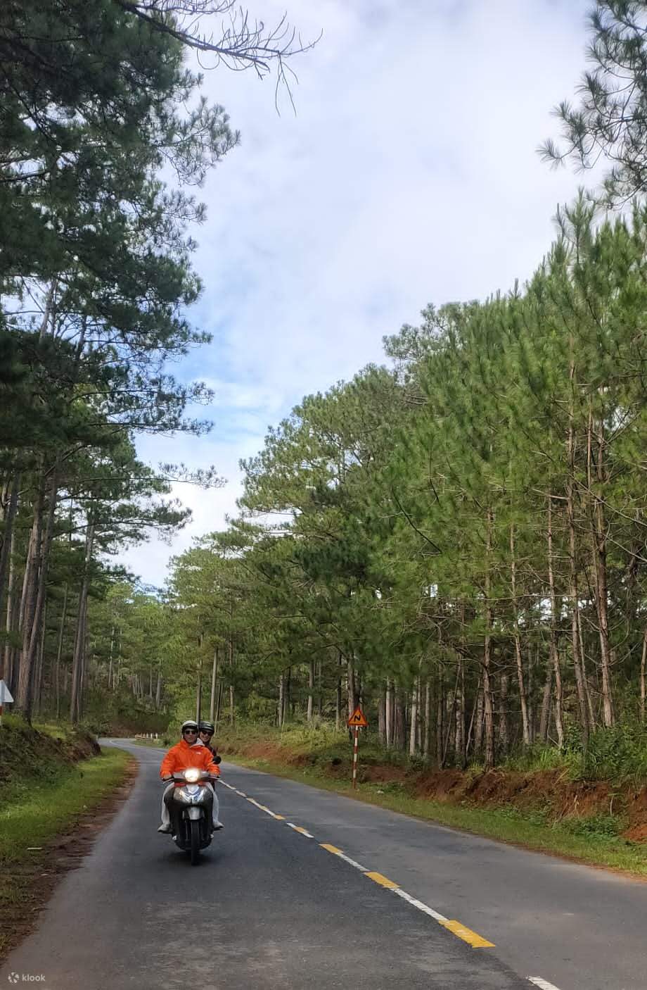 Specialty Arabica Coffee Farm Harvest Klook India