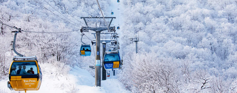 Pengajaran Ski dan Papan Salji Alpensia