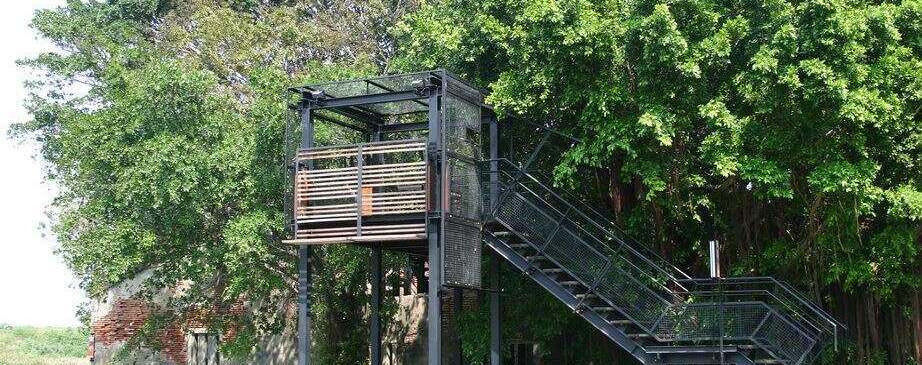 La maison dans les arbres d'Anping