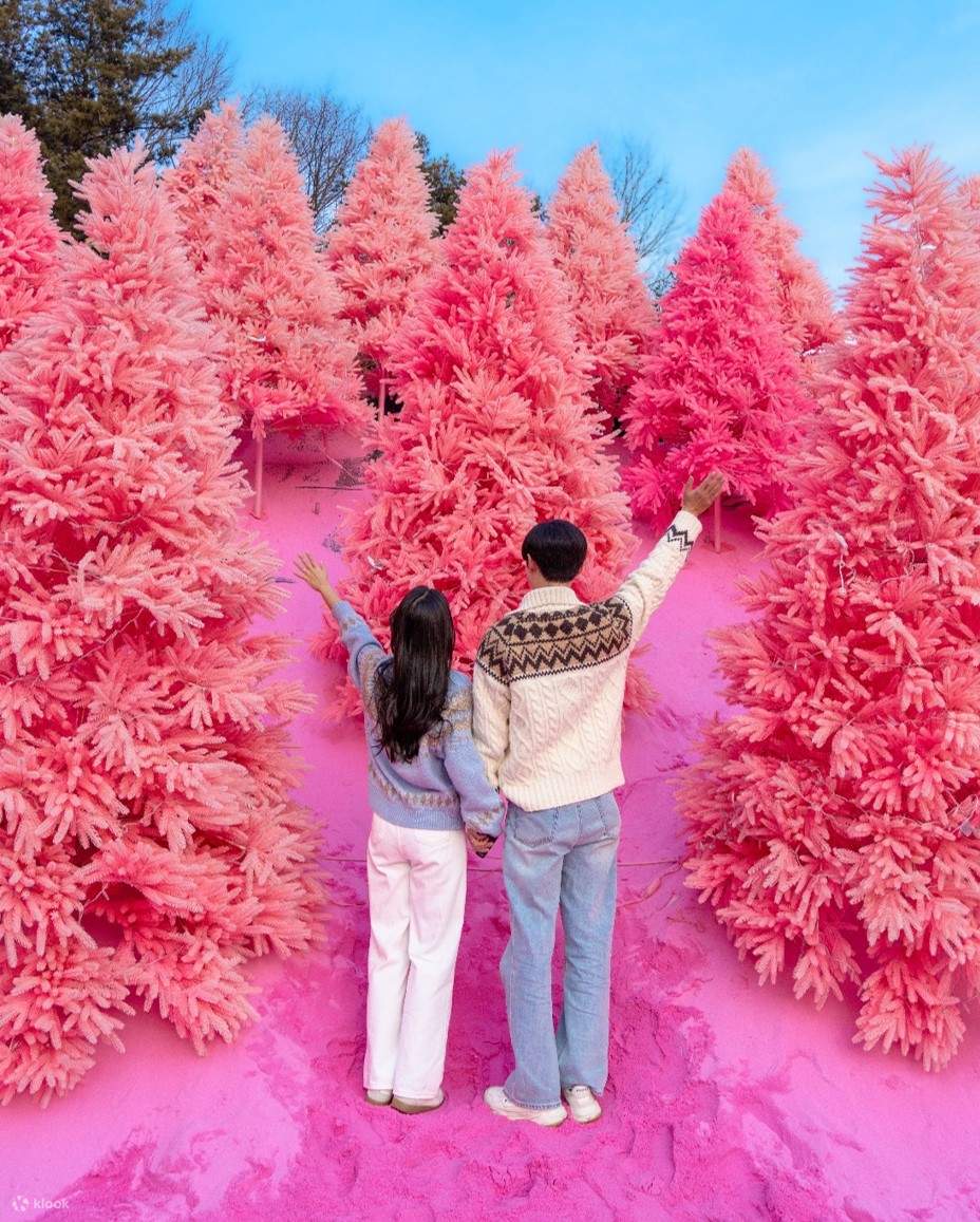 Romantic Winter Festival Tour from Seoul Klook United Kingdom