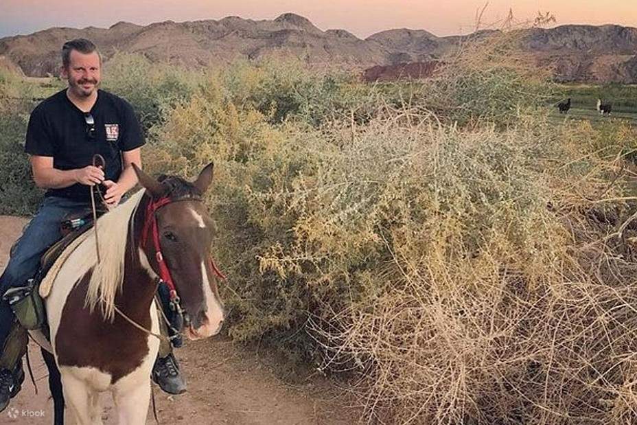 ผู้ชายขี่ม้า