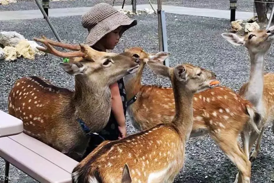 垦草趣