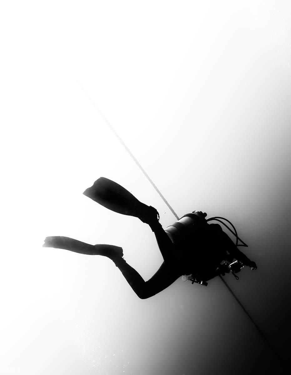 PADI进阶开放水域潜水员