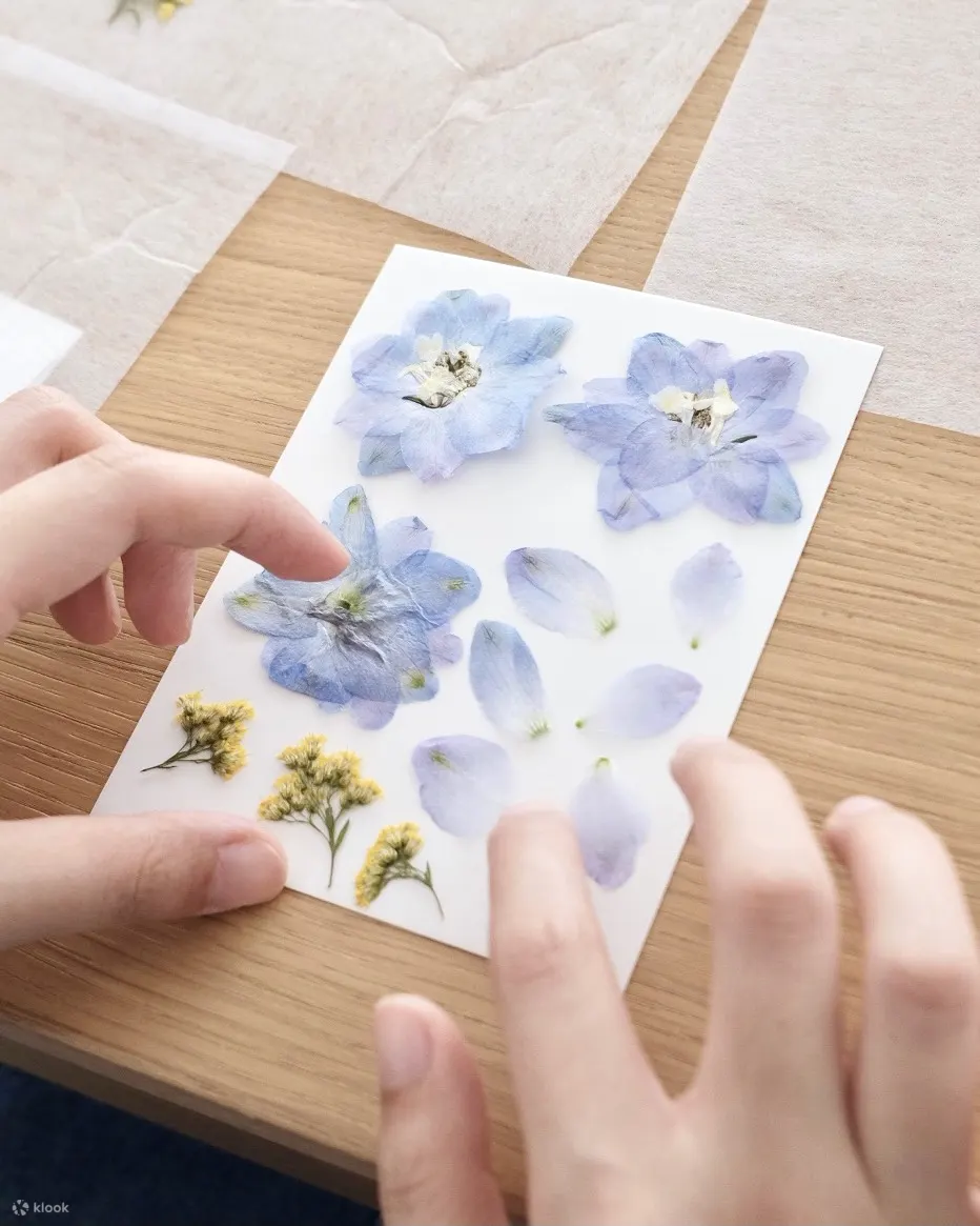 Suet.Fleur, 押花班, 押花