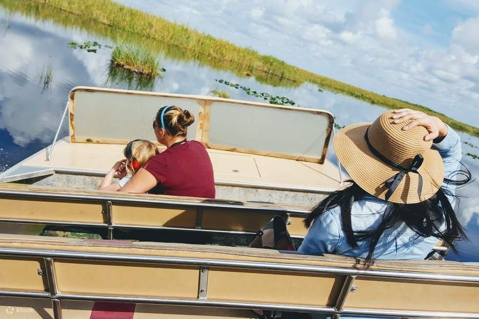 Dia complet: Aventura als Everglades amb una caminada seca - Klook Espanya
