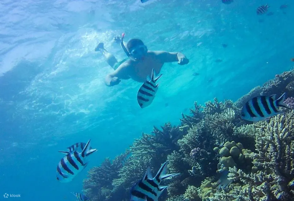 红海：半潜艇浮潜之旅