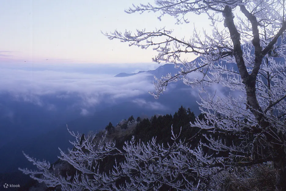 太平山国家森林游乐区