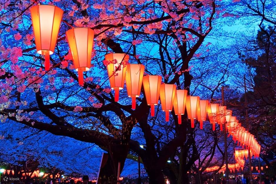バイヤー厳選用品 City, Tokyo Nakameguro Half Evening Viewing Blossom Cherry ミュージック