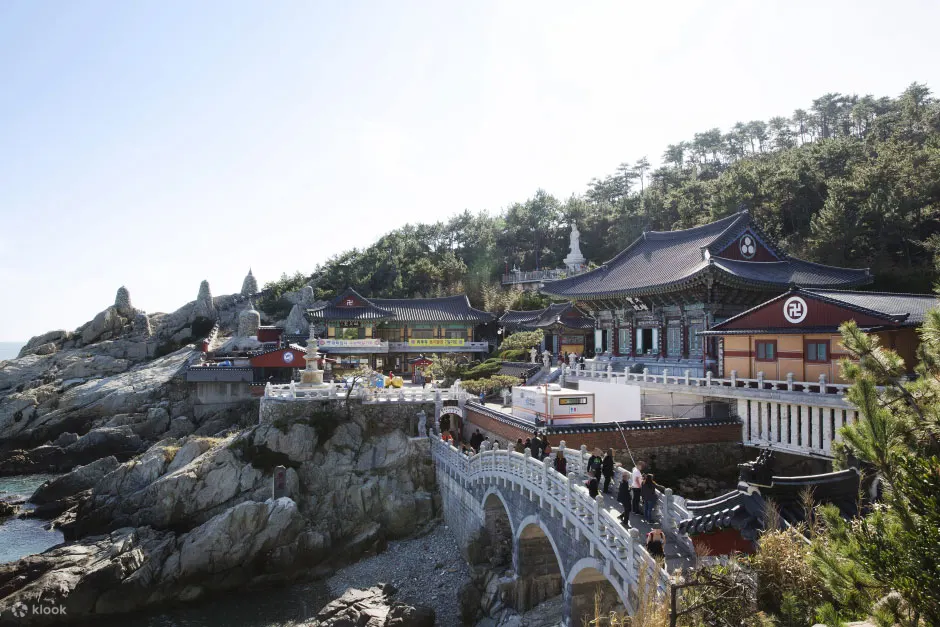 釜山、庆州、浦项包车游 釜山出发