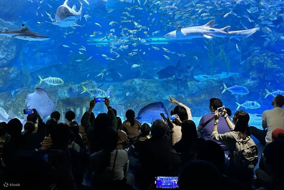 水族馆人群