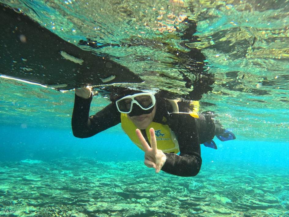 Okinawa・Nordteil｜Schnorcheln・Zertifiziertes Tauchen・Erlebnistauchen｜Gorilla Bay｜Kantonesischsprachiger Tauchlehrer｜Kostenlose GoPro-Videoaufnahmen｜Genießen Sie das Okinawa Churaumi｜In der Nähe des Churaumi Aquariums