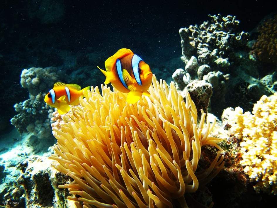 The serene Sharm El-Lole Beach, surrounded by pristine natural beauty.