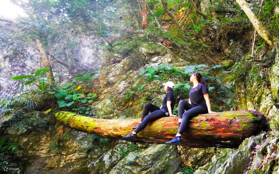 타이둥: 리송 예시 온천/에메랄드 원더랜드의 비밀의 땅 탐험