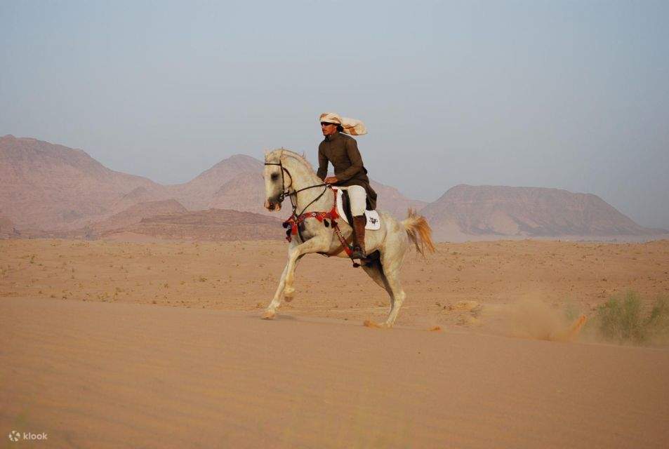 Sharm El Sheikh: Paseo a caballo por la costa con traslados