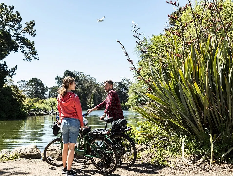 self bike rental near me