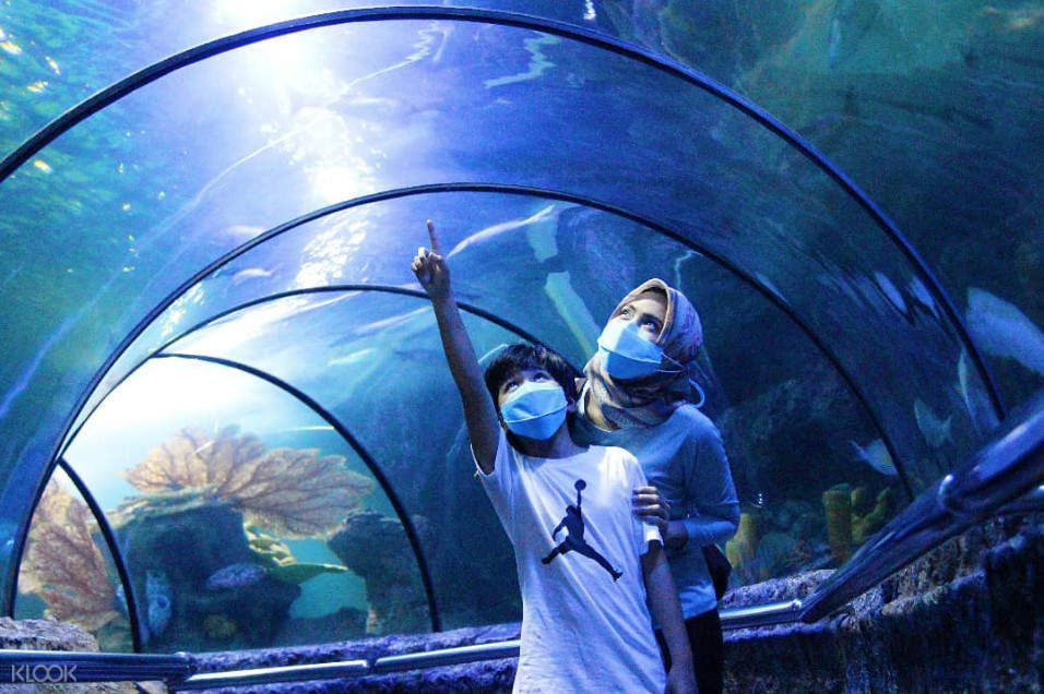 Sea World Ancol Ticket in Jakarta (Skip-the-Line) - Klook ...