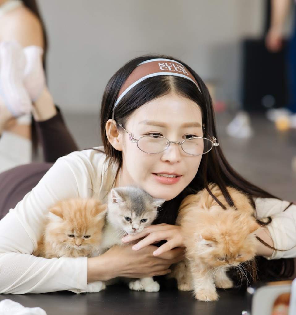 Yoga Anak Kucing & Anak Anjing dengan Pengalaman Foto di Bangkok ...