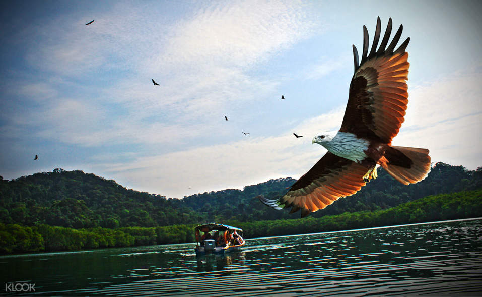 Up To 15 Off Trip Island Hopping Langkawi Dengan Bot Laju Klook Singapore