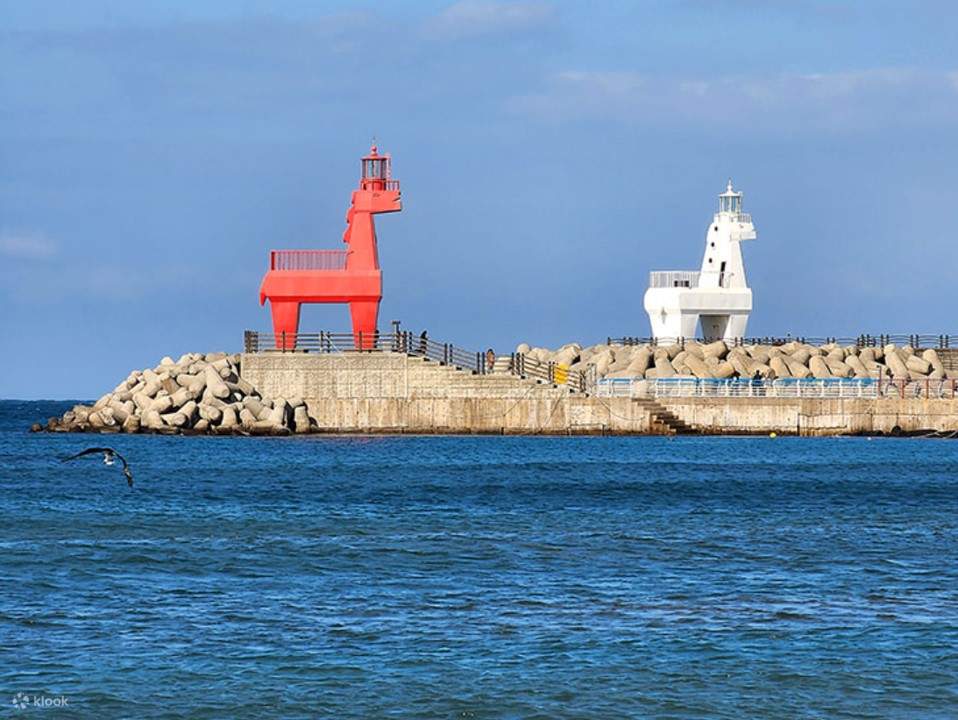 济州海上钓鱼之旅（含午餐）