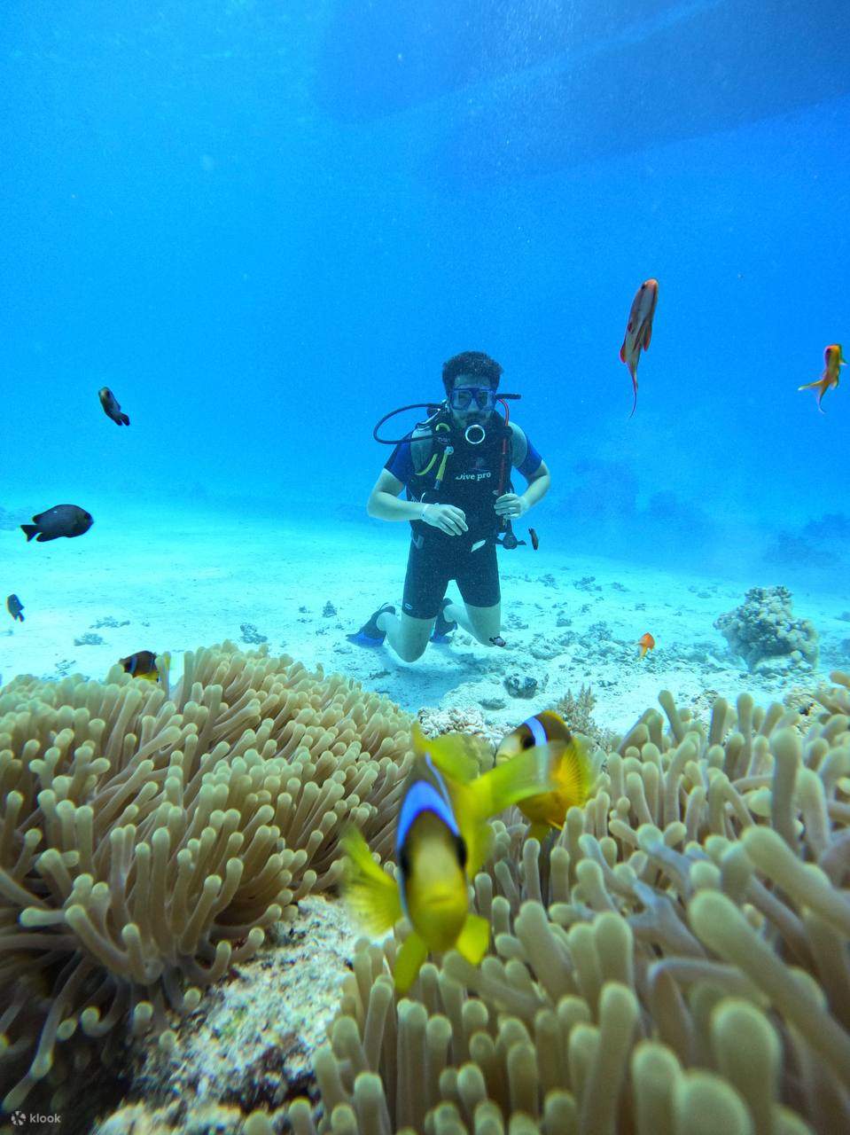 Dive through tunnels and caverns teeming with life.