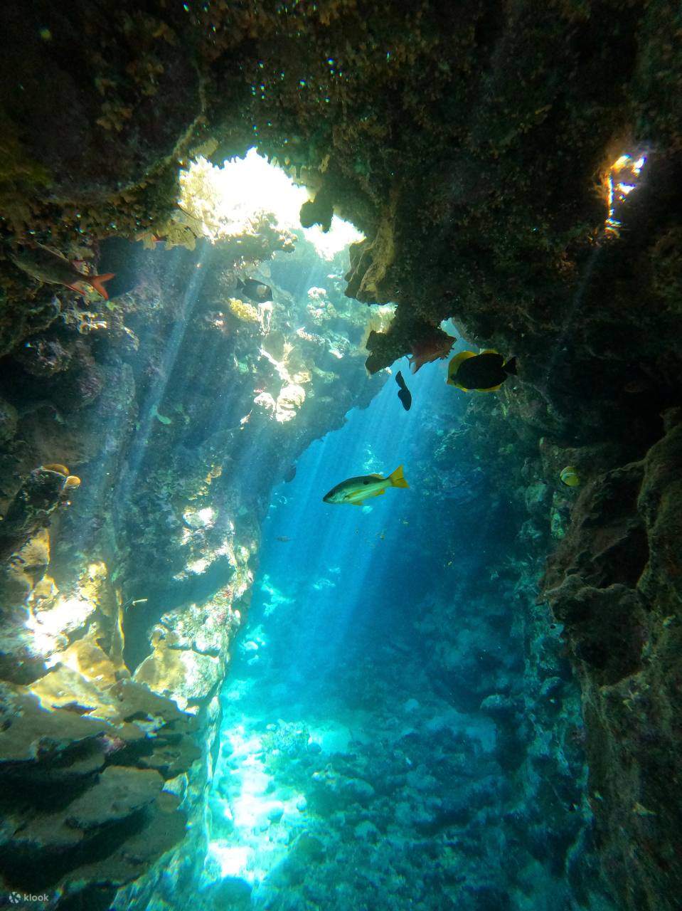 The first snorkeling session takes you through a vibrant underwater world.