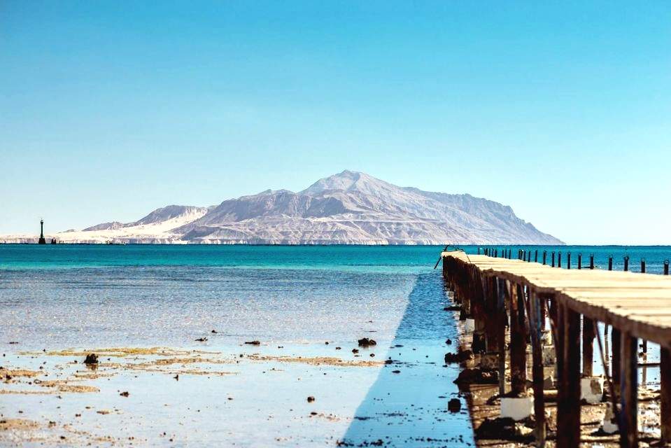 Sharm: Crucero en barco de buceo a la isla de Tirán con traslados privados