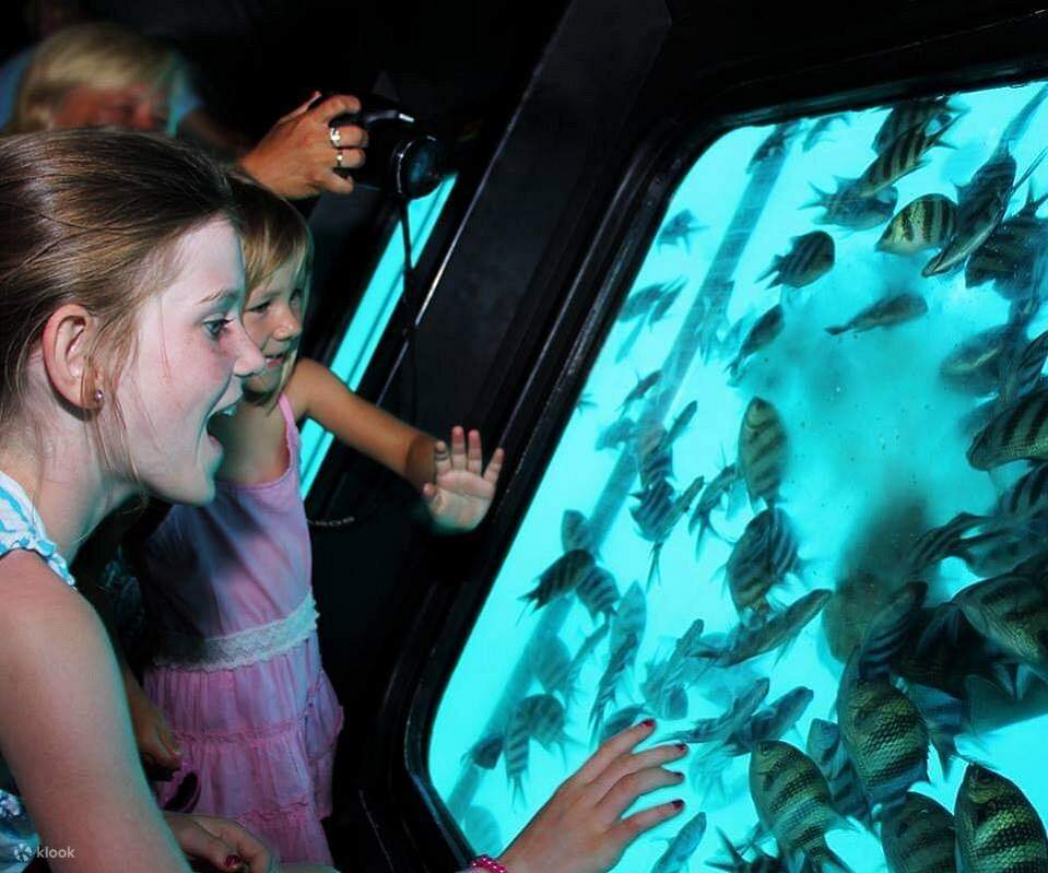 Perjalanan Laut Semi Submarine Dengan Pemindahan - Sharm el sheikh