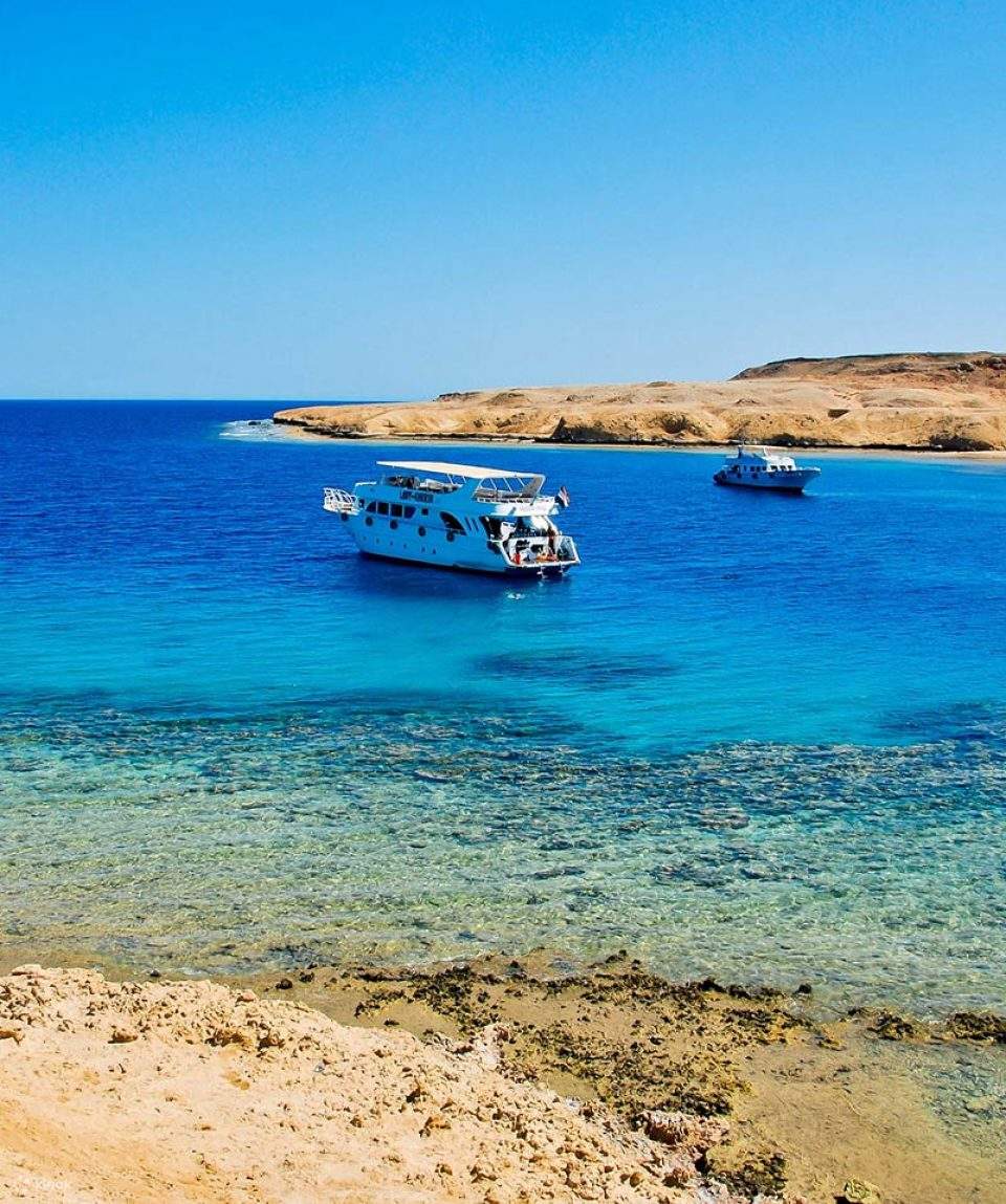 拉斯穆罕默德及白色島嶼浮潛之旅 - 夏姆埃爾謝赫