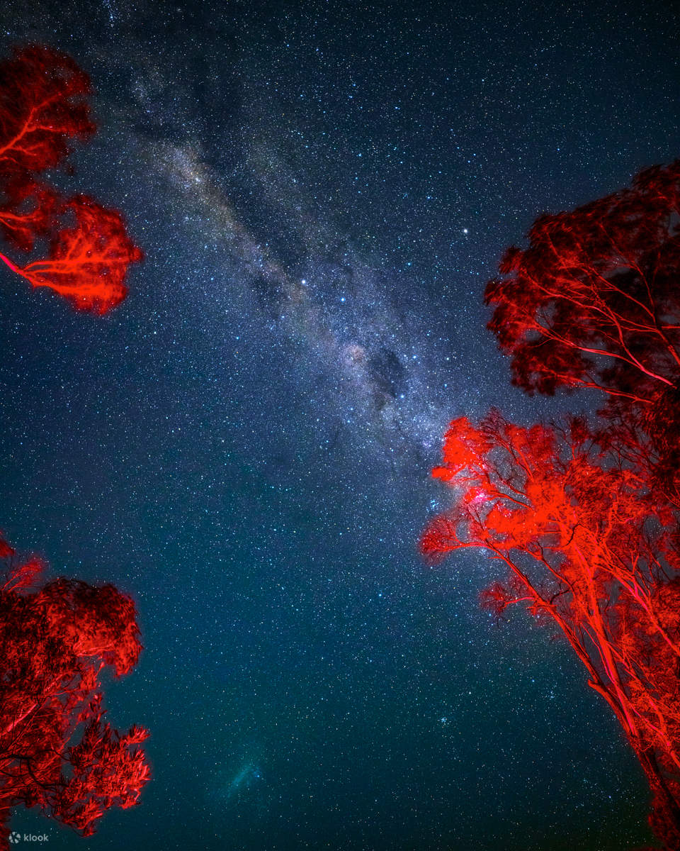 Blue Mountains Stargazing