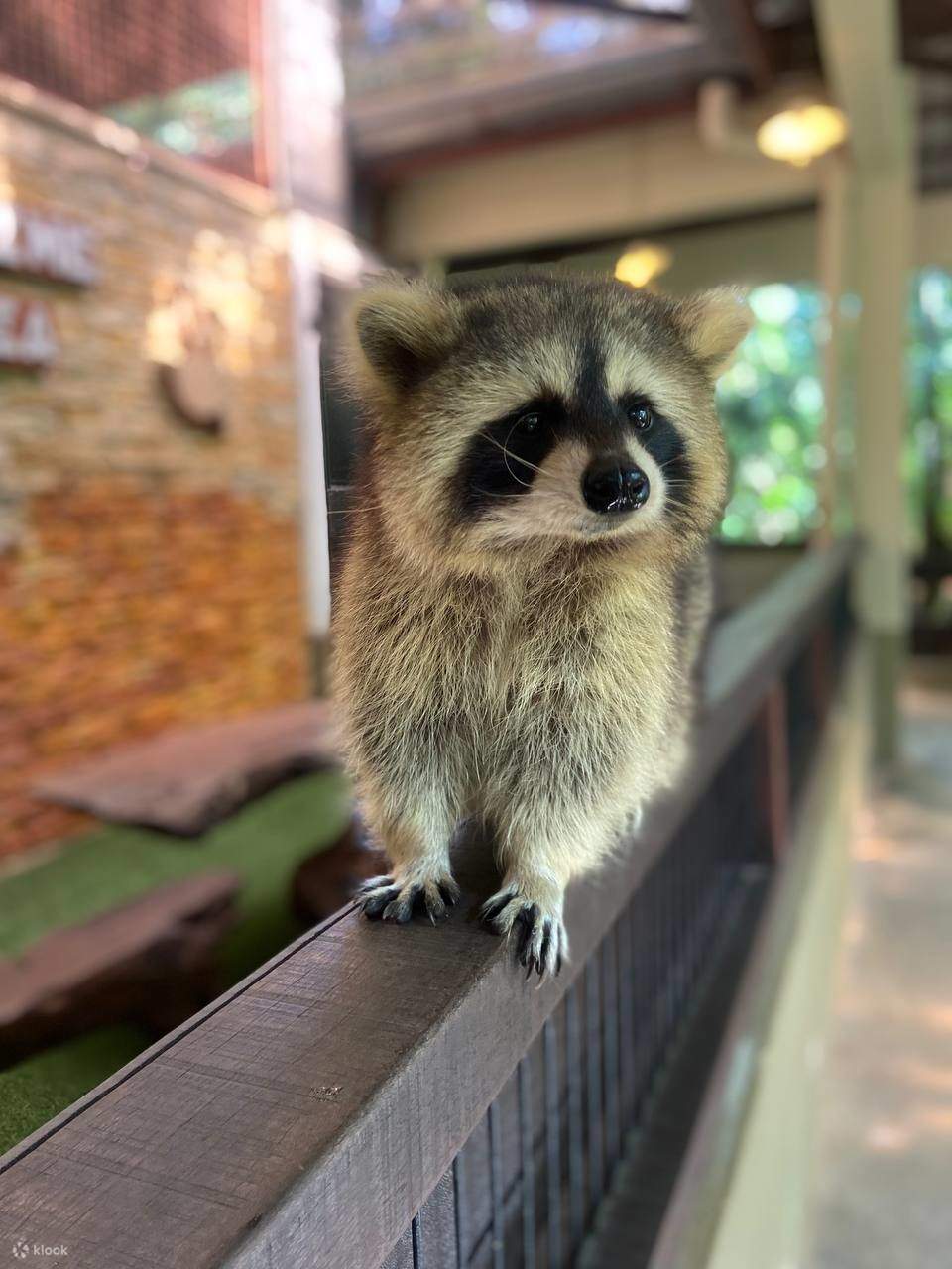 Langkawi Wildlife Park Ticket