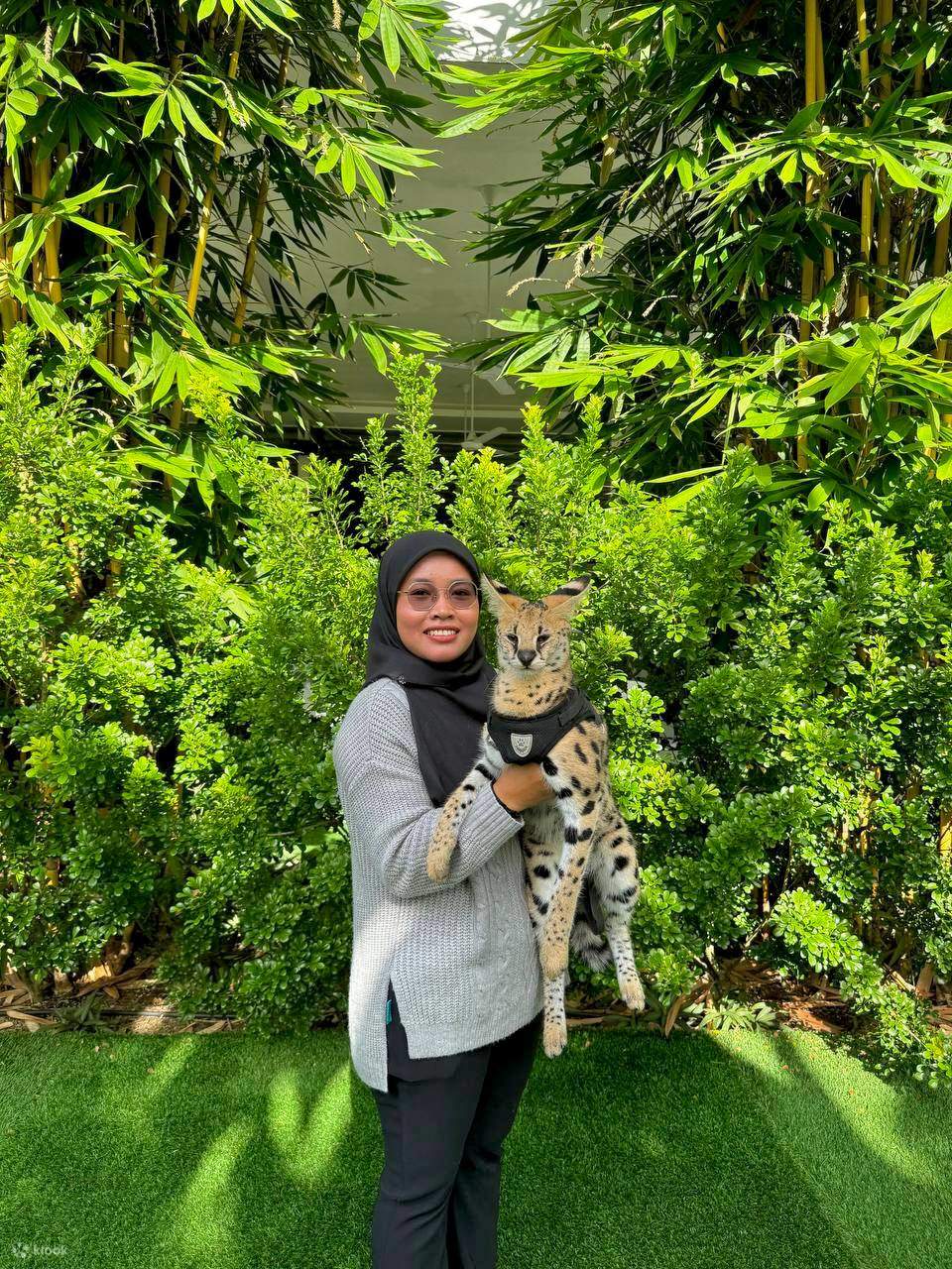 Billet pour le parc animalier de Langkawi