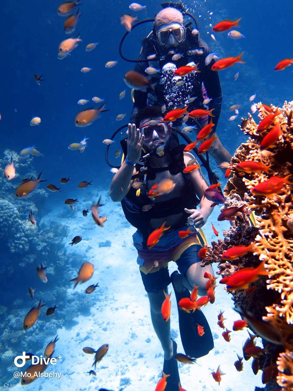 Dive through tunnels and caverns teeming with life.