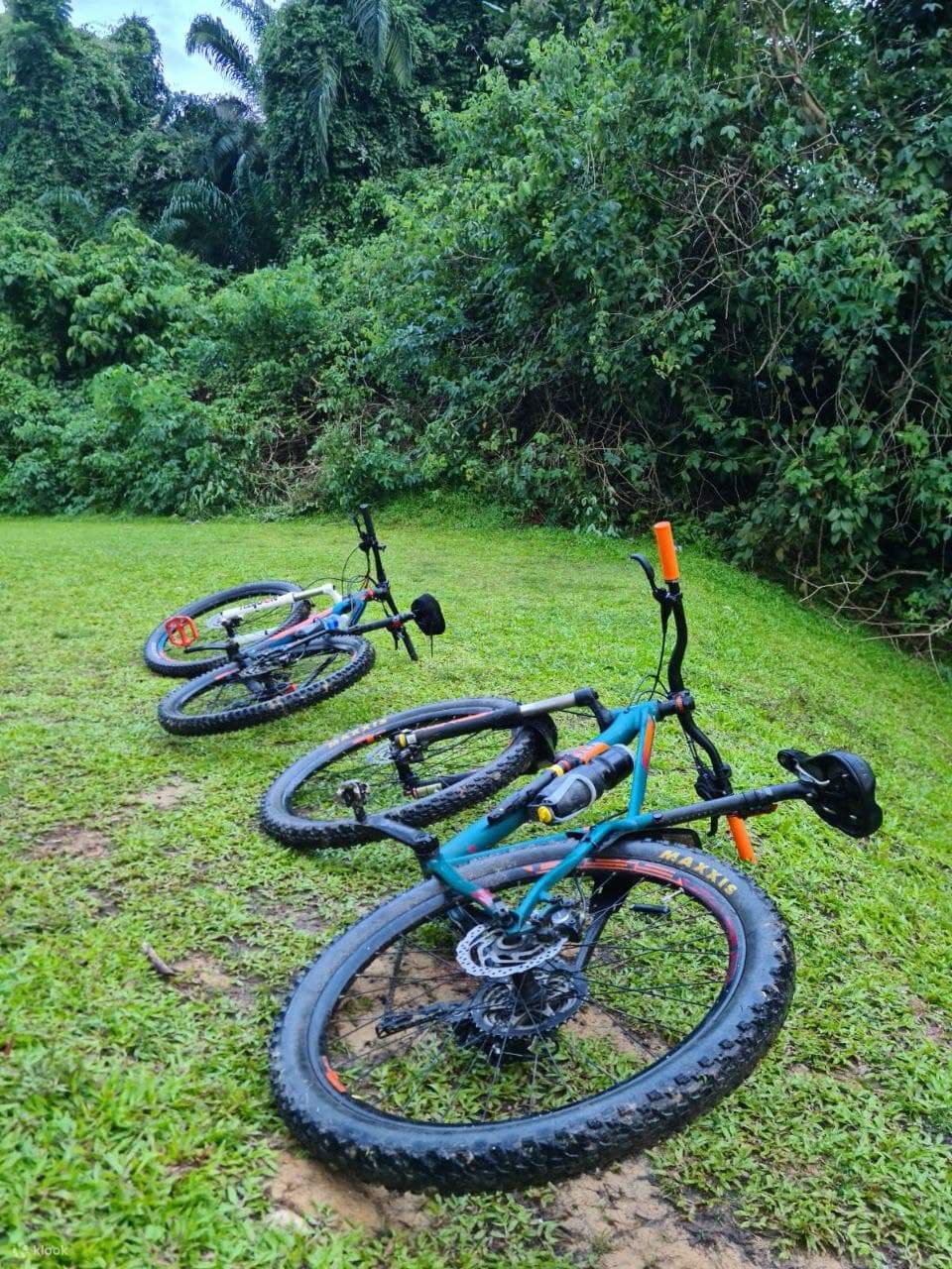 Mountain Bicycle Rental by GoBike Singapore Klook