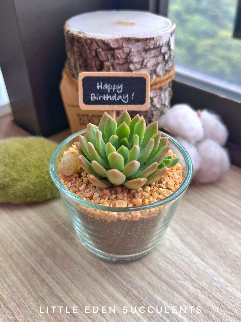 Little Eden Succulents
