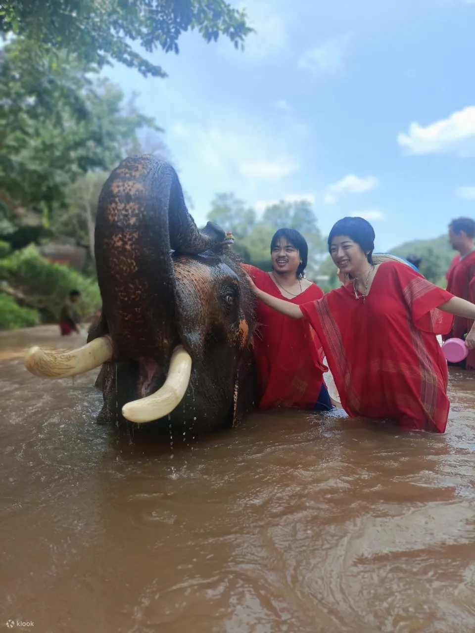 elephant day care chiang mai sanctuary