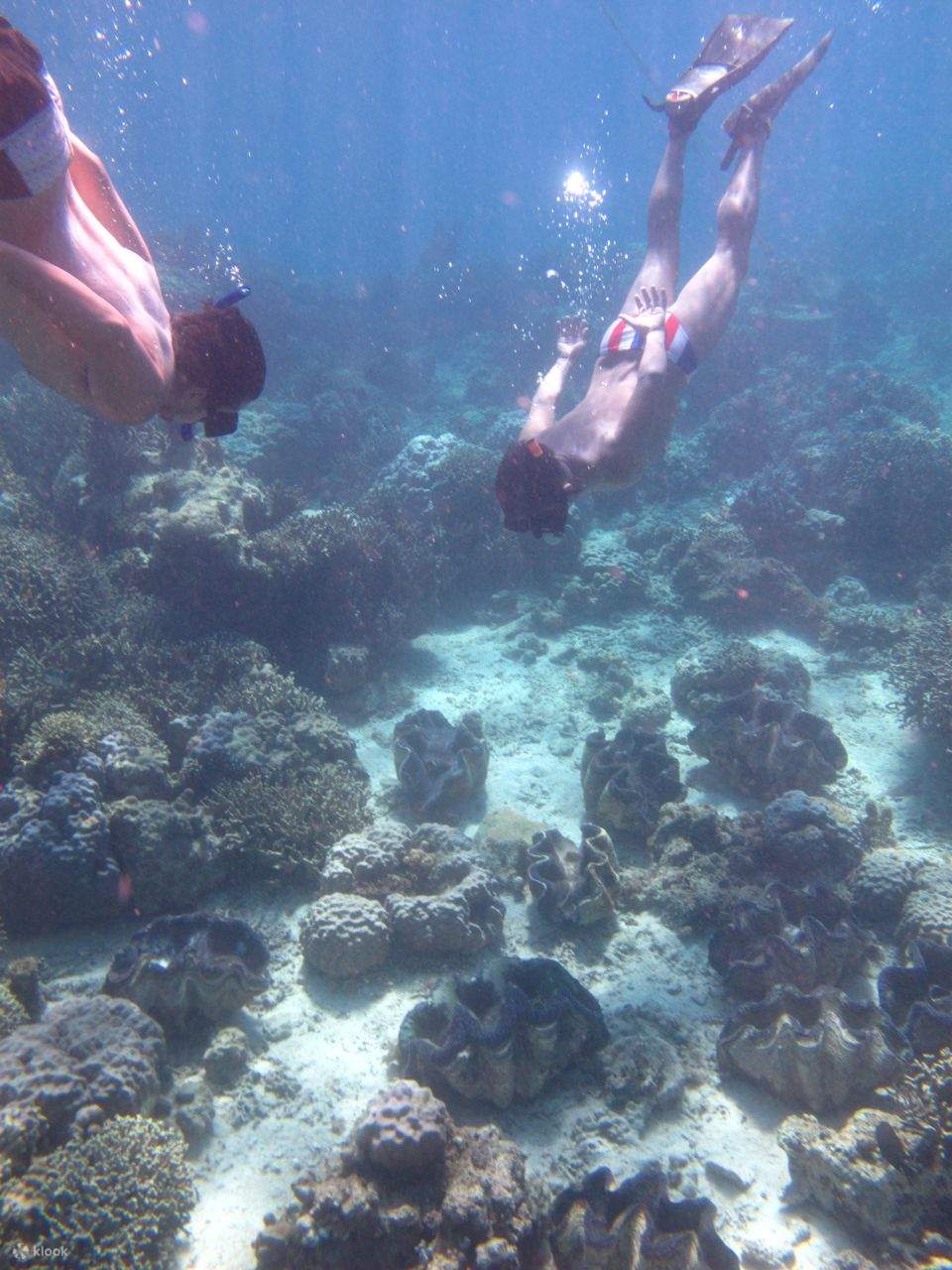 Trip Snorkeling Sehari Penuh