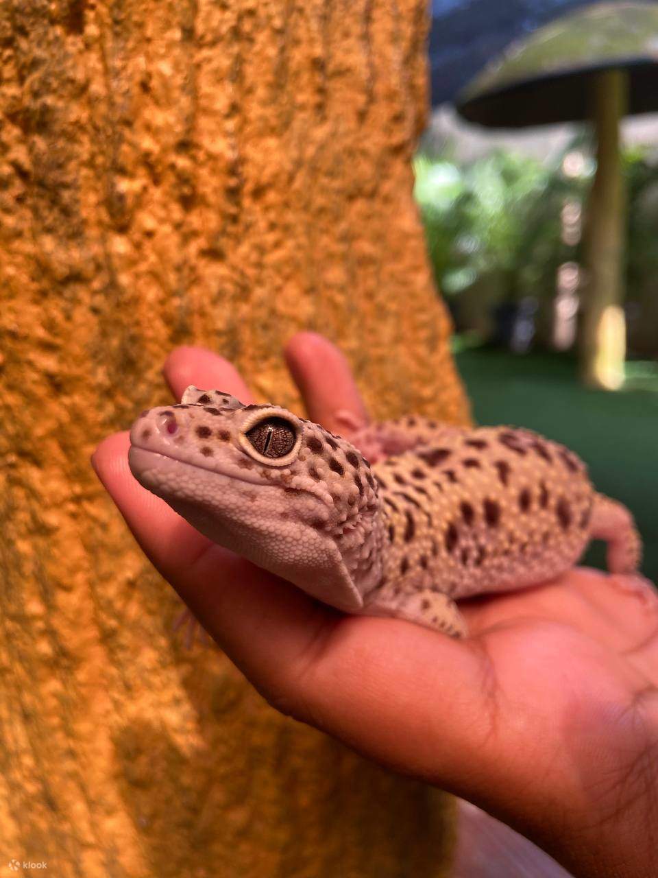 Langkawi Wildlife Park Ticket