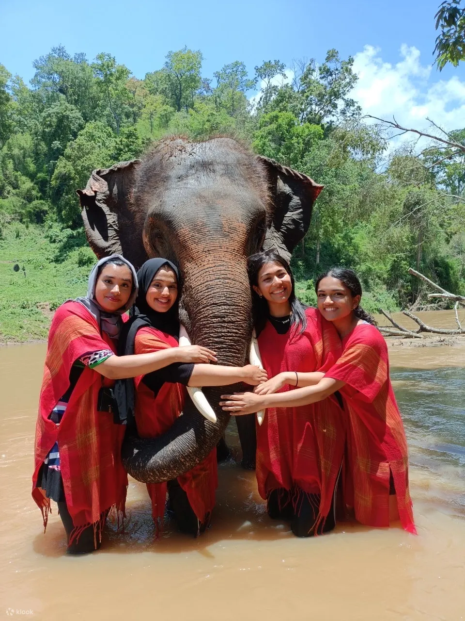 elephant day care chiang mai sanctuary