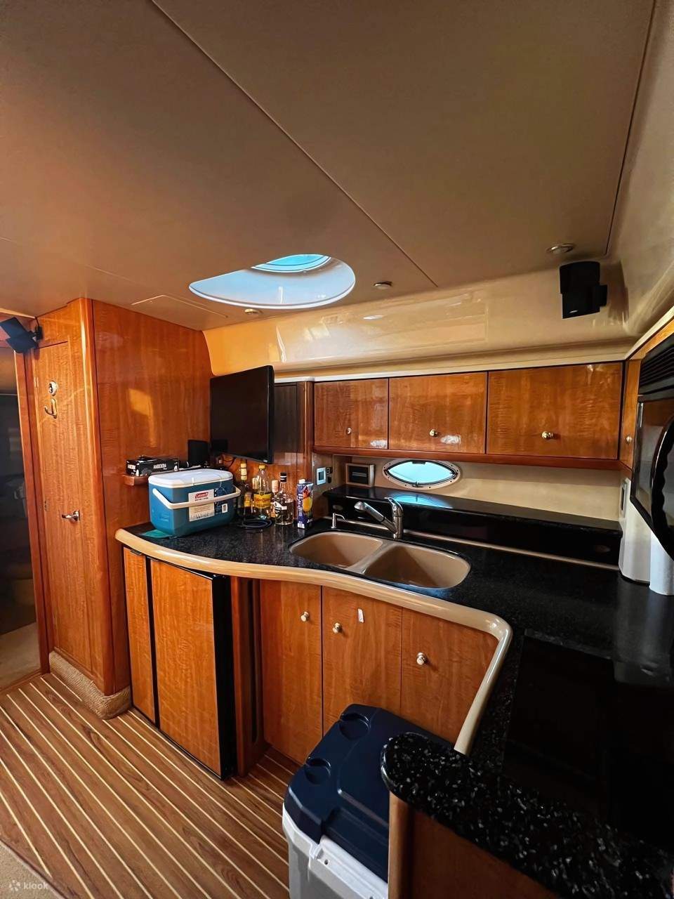 Gặp gỡ cá heo, rùa biển và cá nhiệt đới trong môi trường sống tự nhiên