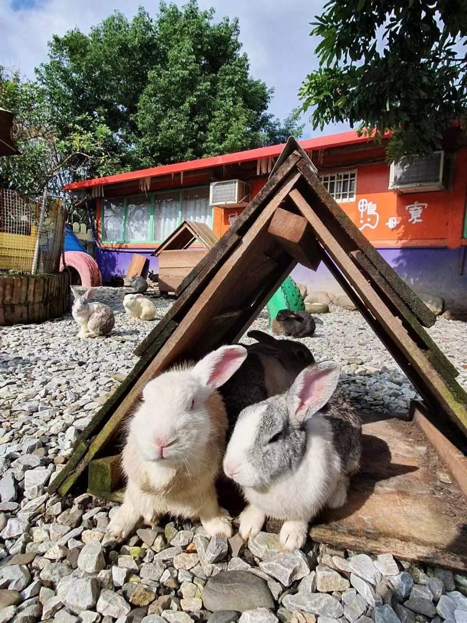 Guangxing Leisure Farm