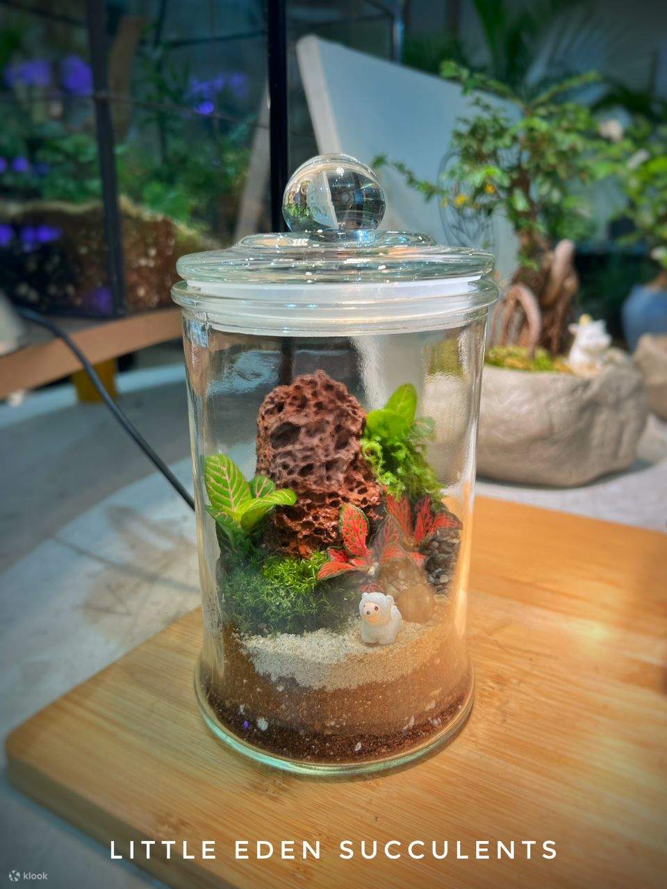 封閉式玻璃瓶苔蘚生態瓶工作坊