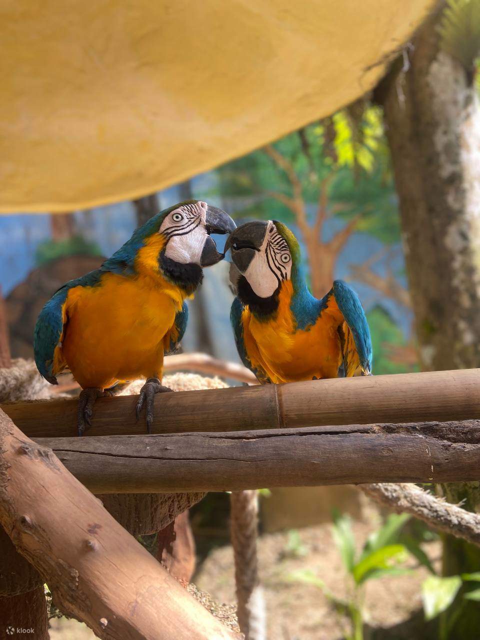 Langkawi Wildlife Park Ticket