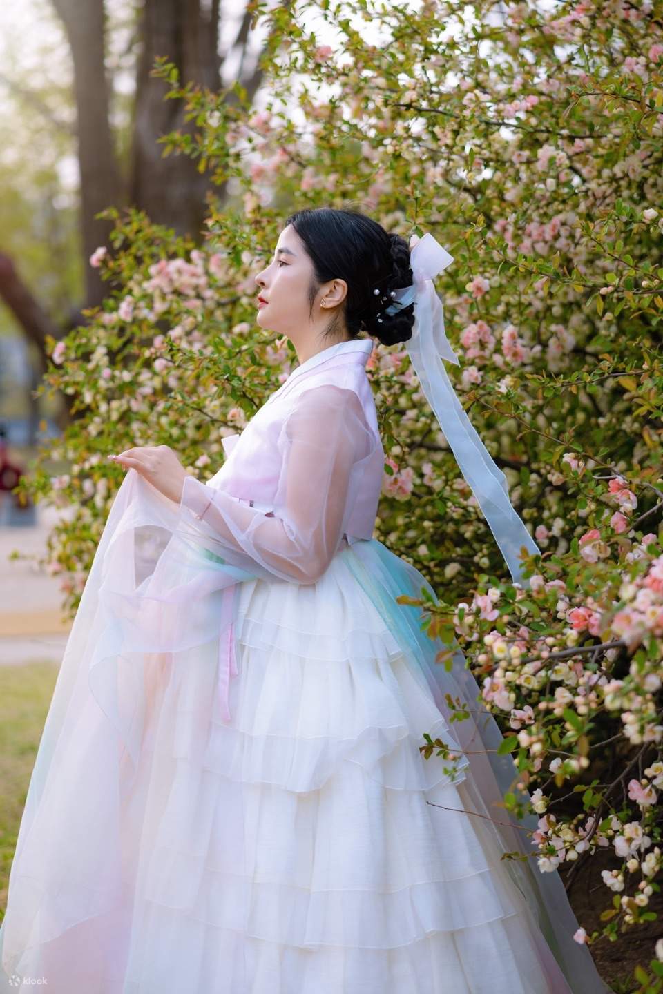 hanbok premium